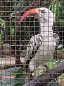 HongKong mei 2008 019b.jpg